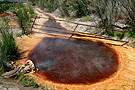 Boiling Hot Pool